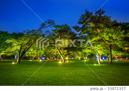 Park at night. 33872357