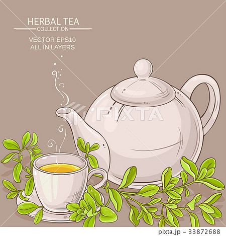 cup of marjoram tea and teapot cup of marjoram tea and teapot 33872688