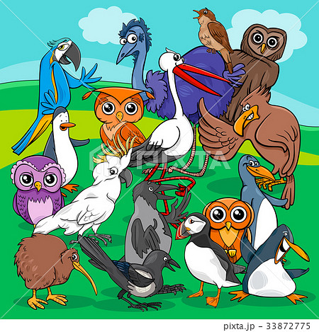 birds group cartoon illustration birds group cartoon illustration 33872775