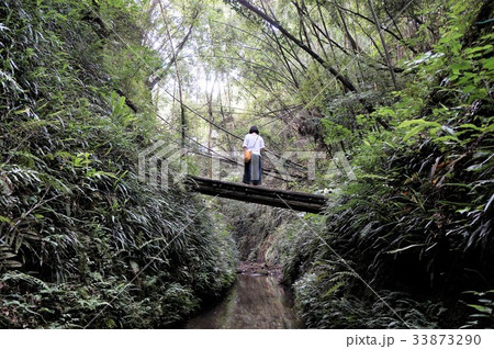 伊尾木洞の橋 伊尾木洞の橋 33873290