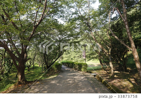 近つ飛鳥風土記の丘・近つ飛鳥博物館 33873758