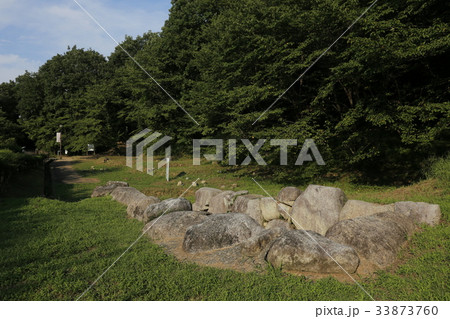 近つ飛鳥風土記の丘・近つ飛鳥博物館 近つ飛鳥風土記の丘・近つ飛鳥博物館 33873760