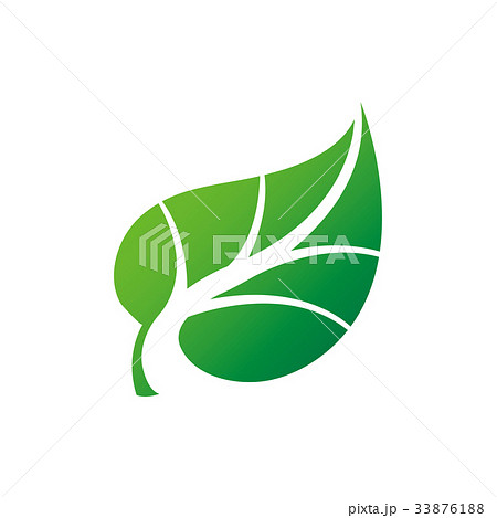 植物　葉　アイコン　ロゴ 33876188