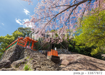 春の神倉神社 春の神倉神社 33877872