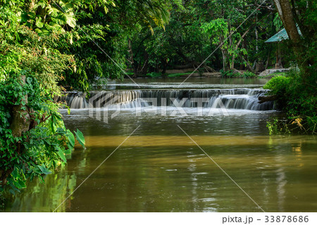 Small waterfall in the forest 33878686