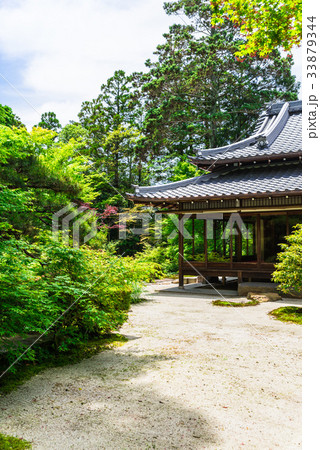 京都　天授庵　書院南庭 33879344