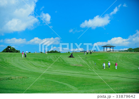 パークゴルフ 33879642