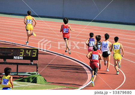 陸上競技  33879680