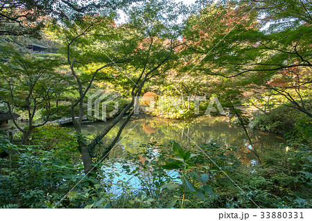 東京都品川区、池田山公園 33880331