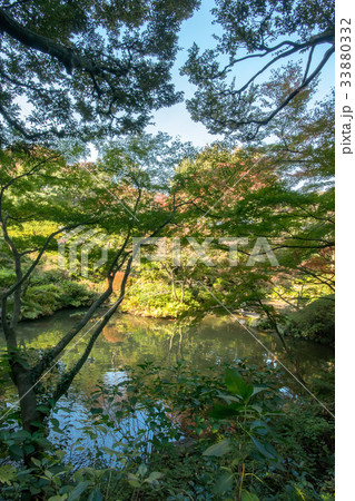 池田山公園 33880332