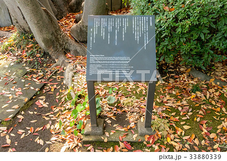 池田山公園 池田山公園 33880339