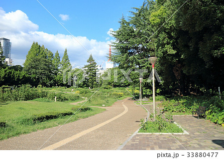 靭公園(大阪市） 33880477