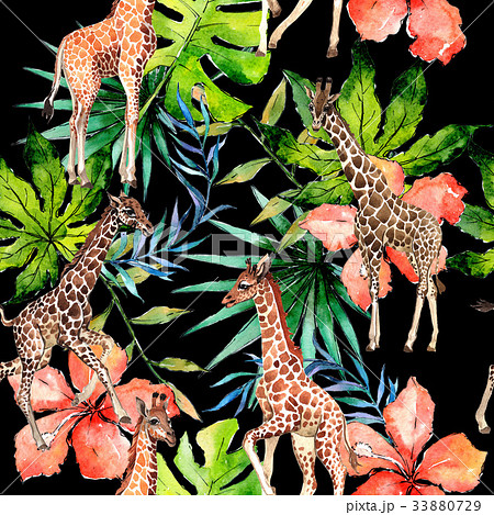 Exotic giraffe wild animal pattern in a watercolor 33880729