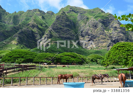 クアロアランチ 33881356