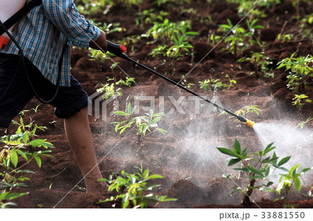 farmer spraying pesticide/chemical fertilize farmer spraying pesticide/chemical fertilize 33881550