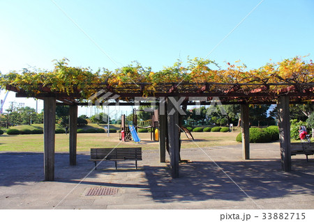 若松公園 33882715