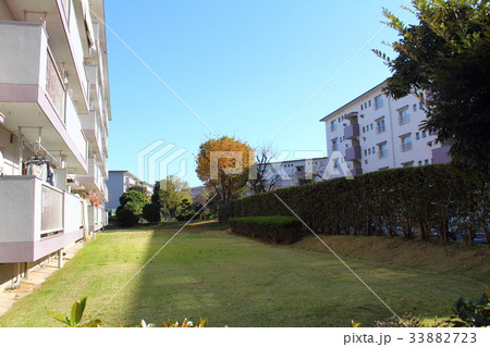若松団地 若松団地 33882723