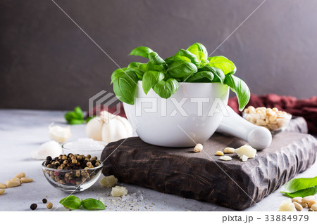 Ingredients for making pesto sauce Ingredients for making pesto sauce 33884979
