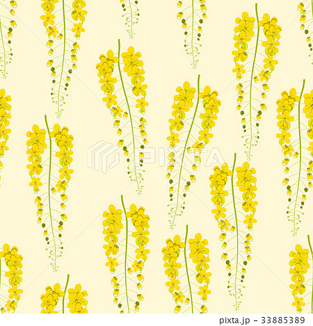 Cassia Fistula - Golden Shower Flower on Beige 33885389