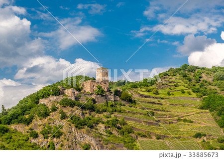 Gutenfels Castle and vineyards at Rhine Gutenfels Castle and vineyards at Rhine 33885673
