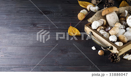 tray with autumn mushrooms tray with autumn mushrooms 33886047