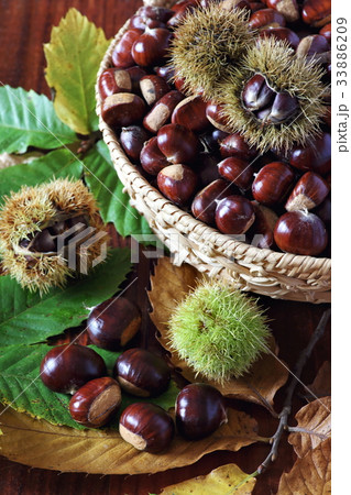 Sweet chestnuts 33886209
