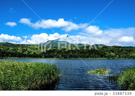 オタトマリ沼と利尻富士 (北海道利尻島) オタトマリ沼と利尻富士 (北海道利尻島) 33887339