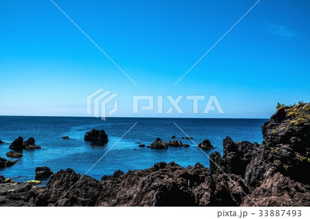 夏の溶岩海岸　（北海道利尻島） 33887493