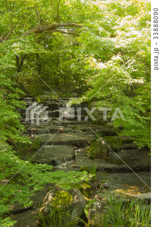 新緑の好古園 33888090