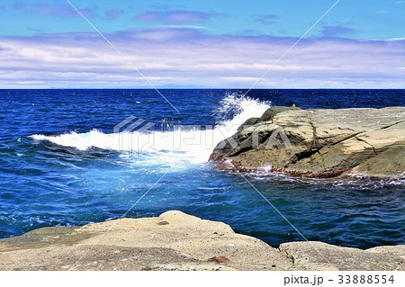 夏の千畳敷海岸 33888554