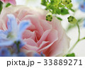 バラ 花 バラ 花 33889271