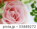 バラ 花 バラ 花 33889272