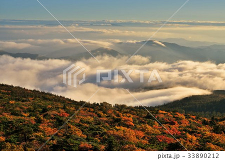 蔵王の紅葉と雲海 蔵王の紅葉と雲海 33890212