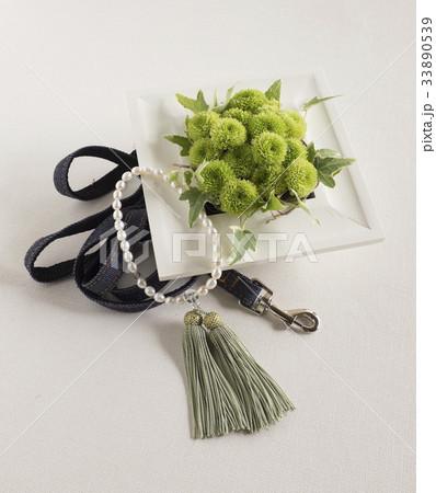 ペット葬 33890539