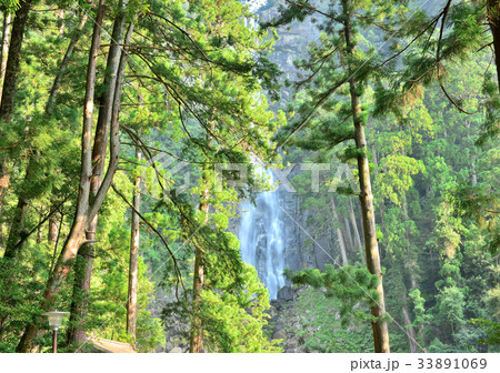 那智の滝-188729 33891069