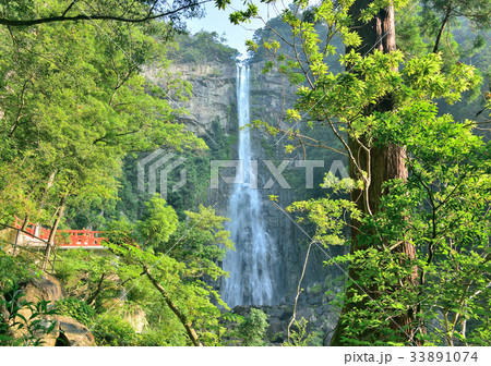 那智の滝-188735 33891074