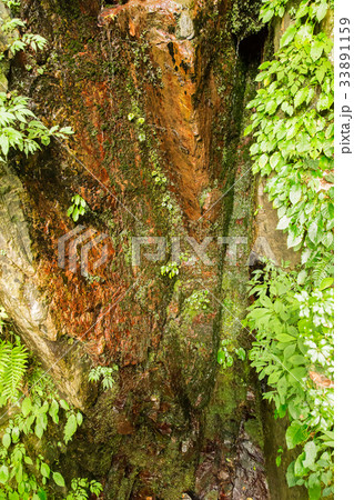 石清水・三段峡(広島県安芸太田町) 石清水・三段峡(広島県安芸太田町) 33891159