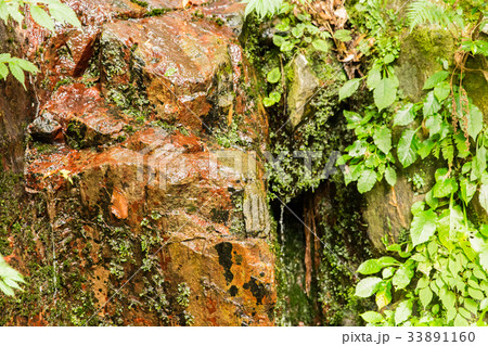 石清水・三段峡（広島県安芸太田町） 33891160