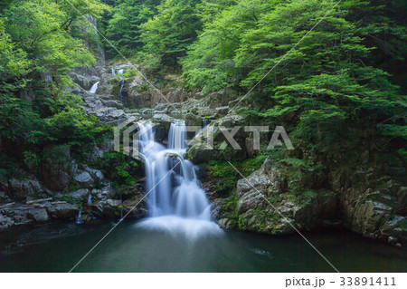夏の三段峡（三段滝）（広島県安芸太田町） 33891411