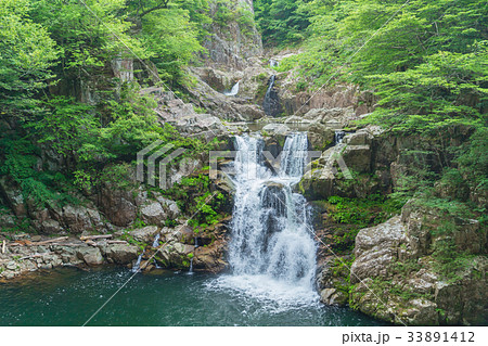 夏の三段峡(三段滝)(広島県安芸太田町) 夏の三段峡(三段滝)(広島県安芸太田町) 33891412