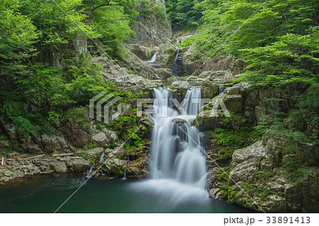 夏の三段峡（三段滝）（広島県安芸太田町） 33891413