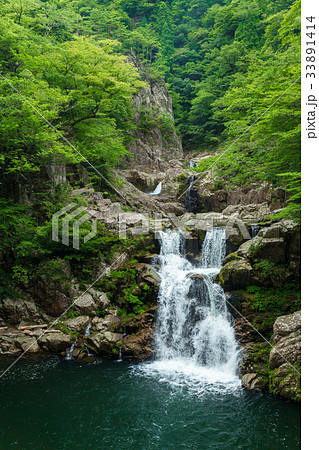 夏の三段峡(三段滝)(広島県安芸太田町) 夏の三段峡(三段滝)(広島県安芸太田町) 33891414