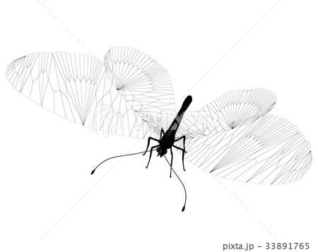 Line butterfly concept. 3d illustration 33891765