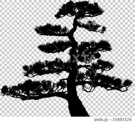 松の木 シルエットのイラスト素材