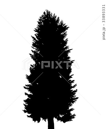 樹木 シルエット 樹木 シルエット 33893331