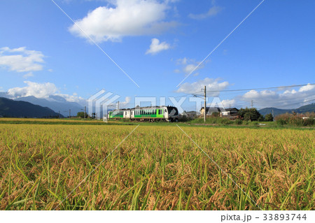 秋の大糸線 黄金色の稲田 秋の大糸線 黄金色の稲田 33893744