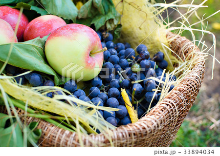 basket apple grapes 33894034