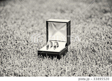 Wedding rings, colorless 33895520