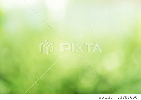 Abstract defocused green blurred background 33895600