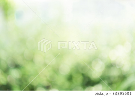 Abstract defocused green blurred background Abstract defocused green blurred background 33895601